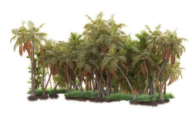 Arka planda izole edilmiş tropik orman düzeni. 3d görüntüleme - illüstrasyon