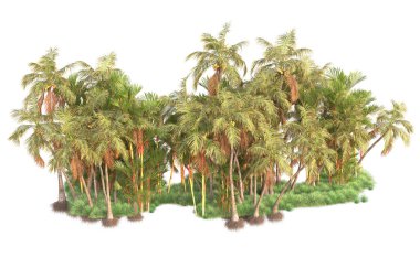 Arka planda izole edilmiş tropik orman düzeni. 3d görüntüleme - illüstrasyon