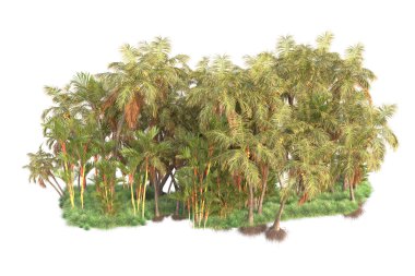 Arka planda izole edilmiş tropik orman düzeni. 3d görüntüleme - illüstrasyon