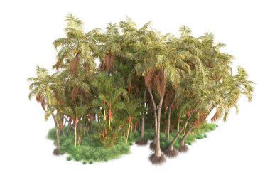 Arka planda izole edilmiş tropik orman düzeni. 3d görüntüleme - illüstrasyon