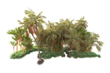 Arka planda izole edilmiş tropik orman düzeni. 3d görüntüleme - illüstrasyon