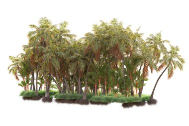 Arka planda izole edilmiş tropik orman düzeni. 3d görüntüleme - illüstrasyon