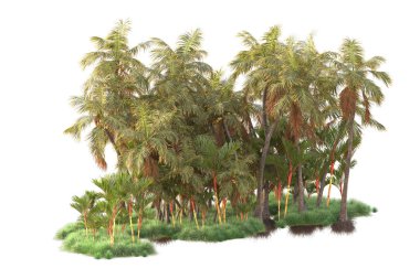 Arka planda izole edilmiş tropik orman düzeni. 3d görüntüleme - illüstrasyon