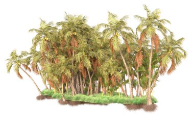 Arka planda izole edilmiş tropik orman düzeni. 3d görüntüleme - illüstrasyon