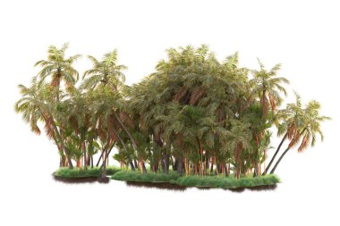 Arka planda izole edilmiş tropik orman düzeni. 3d görüntüleme - illüstrasyon