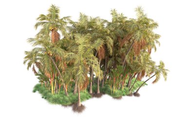 Arka planda izole edilmiş tropik orman düzeni. 3d görüntüleme - illüstrasyon