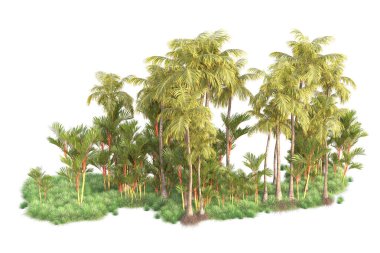 Arka planda izole edilmiş tropik orman düzeni. 3d görüntüleme - illüstrasyon