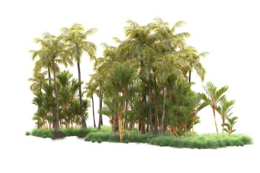 Arka planda izole edilmiş tropik orman düzeni. 3d görüntüleme - illüstrasyon