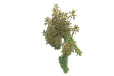 3D işlemeli palmiye ağaçları ve bahçe süslemeleri beyaz arka planda