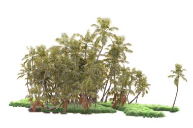 3D işlemeli palmiye ağaçları ve bahçe süslemeleri beyaz arka planda