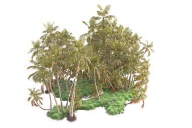 3D işlemeli palmiye ağaçları ve bahçe süslemeleri beyaz arka planda