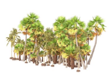 3D işlemeli palmiye ağaçları ve bahçe süslemeleri beyaz arka planda