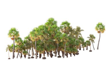 3D işlemeli palmiye ağaçları ve bahçe süslemeleri beyaz arka planda
