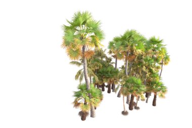 3D işlemeli palmiye ağaçları ve bahçe süslemeleri beyaz arka planda