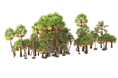 3D işlemeli palmiye ağaçları ve bahçe süslemeleri beyaz arka planda