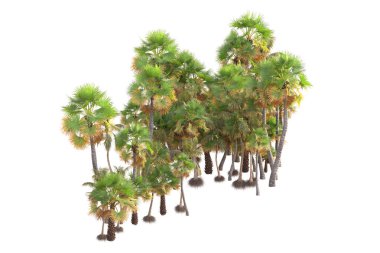 3D işlemeli palmiye ağaçları ve bahçe süslemeleri beyaz arka planda