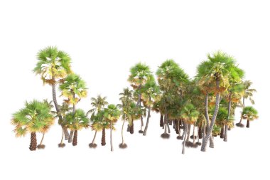 3D işlemeli palmiye ağaçları ve bahçe süslemeleri beyaz arka planda