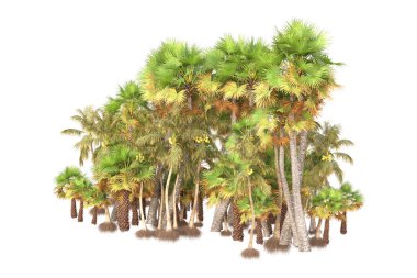 3D işlemeli palmiye ağaçları ve bahçe süslemeleri beyaz arka planda