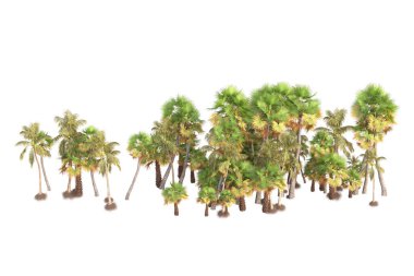 3D işlemeli palmiye ağaçları ve bahçe süslemeleri beyaz arka planda