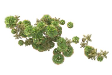 3D işlemeli palmiye ağaçları ve bahçe süslemeleri beyaz arka planda