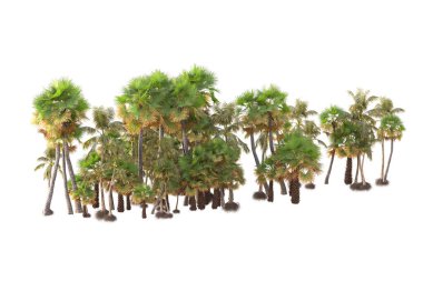 3D işlemeli palmiye ağaçları ve bahçe süslemeleri beyaz arka planda