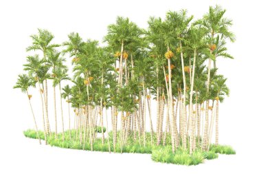 3D ağaçlar ve bahçe süslemeleri beyaz arka planda