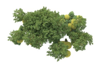 3D ağaçlar ve bahçe süslemeleri beyaz arka planda