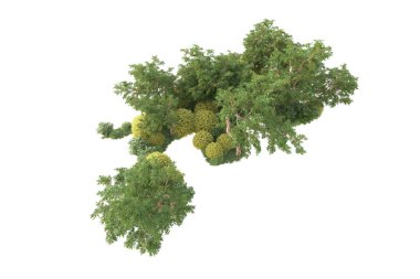 3D ağaçlar ve bahçe süslemeleri beyaz arka planda
