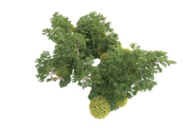 3D ağaçlar ve bahçe süslemeleri beyaz arka planda