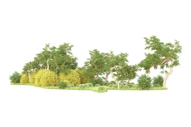 3D ağaçlar ve bahçe süslemeleri beyaz arka planda