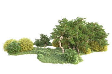 3D ağaçlar ve bahçe süslemeleri beyaz arka planda