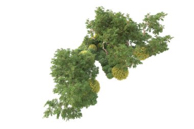 3D ağaçlar ve bahçe süslemeleri beyaz arka planda