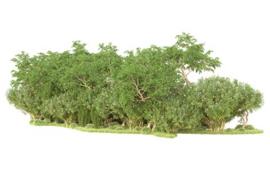 3D ağaçlar ve bahçe süslemeleri beyaz arka planda