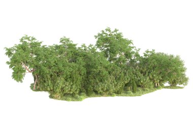 3D ağaçlar ve bahçe süslemeleri beyaz arka planda