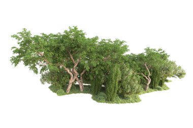 3D ağaçlar ve bahçe süslemeleri beyaz arka planda