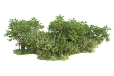 3D ağaçlar ve bahçe süslemeleri beyaz arka planda