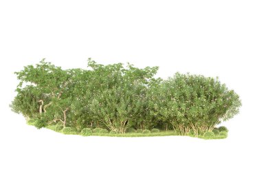 3D ağaçlar ve bahçe süslemeleri beyaz arka planda