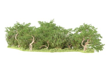 3D ağaçlar ve bahçe süslemeleri beyaz arka planda