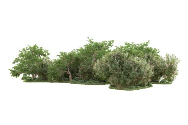 3D ağaçlar ve bahçe süslemeleri beyaz arka planda