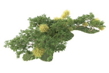 3D ağaçlar ve bahçe süslemeleri beyaz arka planda