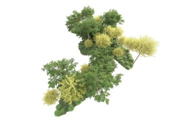 3D ağaçlar ve bahçe süslemeleri beyaz arka planda