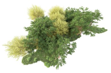 3D ağaçlar ve bahçe süslemeleri beyaz arka planda