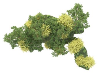 3D ağaçlar ve bahçe süslemeleri beyaz arka planda