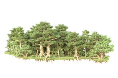 3D ağaçlar ve bahçe süslemeleri beyaz arka planda