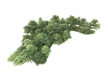 3D ağaçlar ve bahçe süslemeleri beyaz arka planda