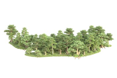 3D ağaçlar ve bahçe süslemeleri beyaz arka planda