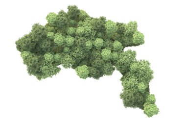 3D ağaçlar ve bahçe süslemeleri beyaz arka planda