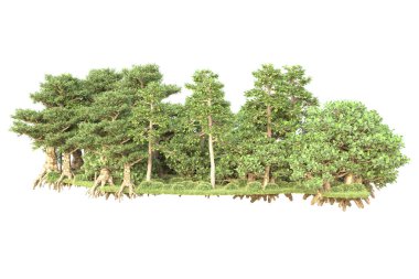 3D ağaçlar ve bahçe süslemeleri beyaz arka planda