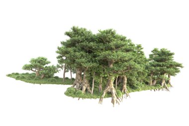 3D ağaçlar ve bahçe süslemeleri beyaz arka planda