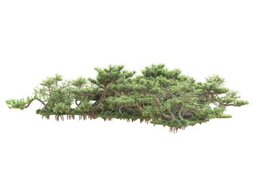 3D ağaçlar ve bahçe süslemeleri beyaz arka planda